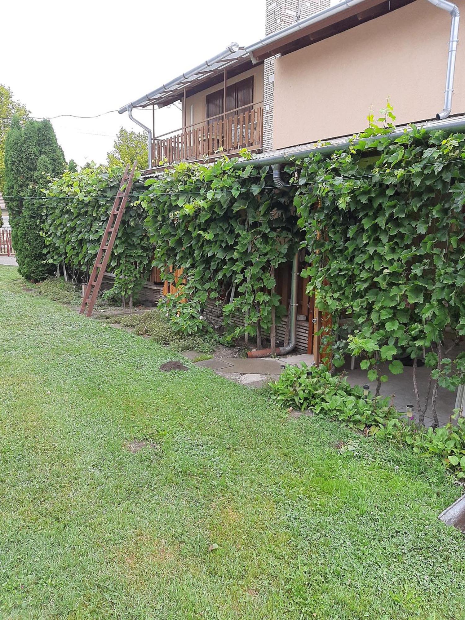 Agancs Vendeghaz Otel Balatonszárszó Dış mekan fotoğraf